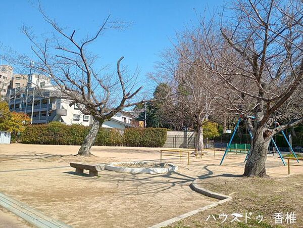 周辺を拡大表示