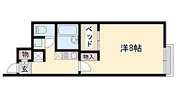 レオネクストチャンティック西脇 2階/-