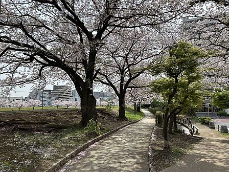 亀戸九丁目緑道公園 徒歩11分。 840m