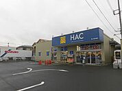 ハックドラッグ 茅ヶ崎今宿店（329m）