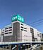周辺：ニトリ新横浜店まで徒歩39分。具やインテリア用品がそろい、新居に合わせた家具選びやお部屋のコーディネートに活用いただけます。休日にお車でのお出かけ先としてもどうぞ。 3070m