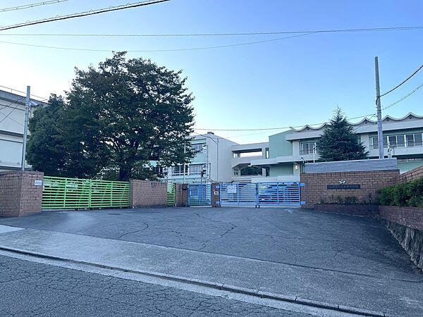 周辺を拡大表示