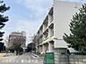 周辺：武里小学校 170m