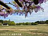 周辺：中部台　公園 1230m