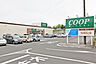 周辺：COOP　MIYAGI国見ケ丘店　徒歩6分