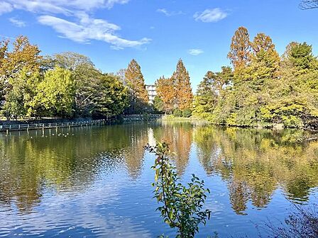 区立武蔵関公園まで約480m 徒歩6分