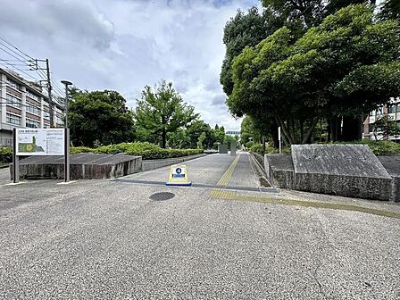 教育の森公園まで約400m