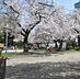 周辺：公園「浦江公園まで1258m」