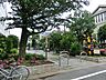 周辺：平塚たけのこ公園　100ｍ