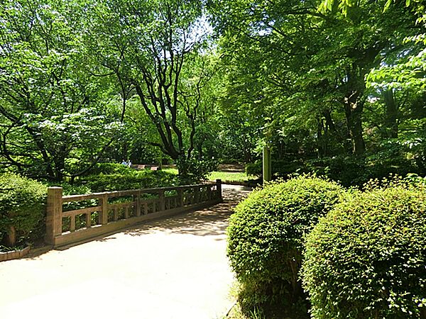 周辺を拡大表示