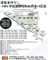 売地 中巨摩郡昭和町西条