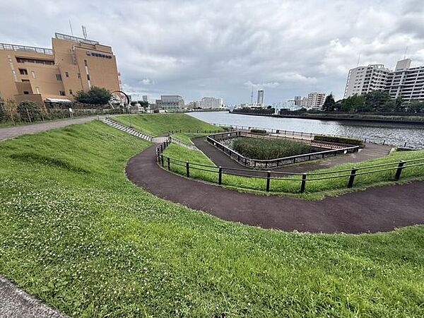 周辺を拡大表示