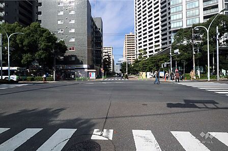 敷地南西側の前面道路(南東側から)