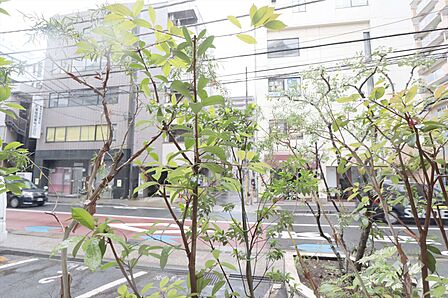 バルコニーからの眺め（南方向）［2025年6月10日撮影］