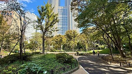 新宿中央公園 670m