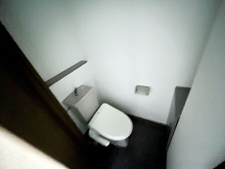 温水洗浄便座を備えたトイレです。上部に収納棚が設けられています。
