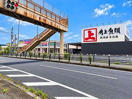 角上魚類 草加店 1010m