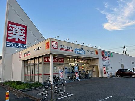 ウエルシア三郷早稲田店 980m