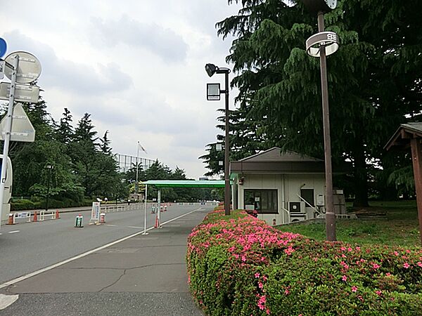周辺を拡大表示