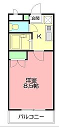 アヴェニール本厚木 1Kの間取図画像