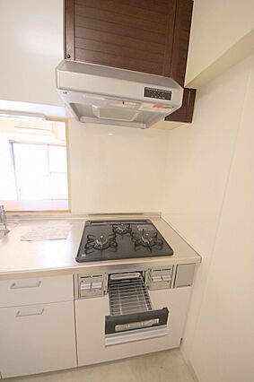 お手入れしやす...