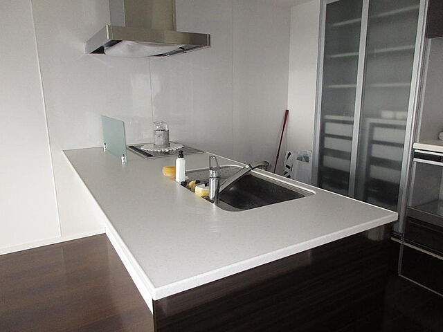 キッチン レジーネ大和田 8階/805