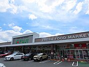スーパー（フジ白島店まで569ｍ）