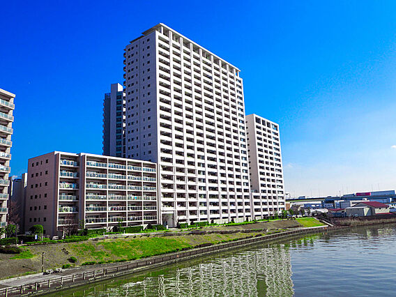 24階建て・全...