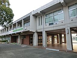[周辺] 横浜市立いずみ野中学校まで390m
