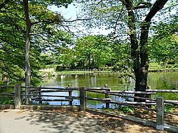 [周辺] 菊名池公園まで1068m、妙蓮寺駅徒歩5分。蓮の浮いた大きな池、広場、夏季にはプールもオープンします。ブランコ・すべり台などもあります。