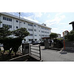 Chardon(シャルドン)