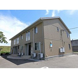 アコアカット 103