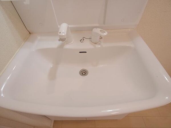 画像16:スペースが確保できる洗面所です