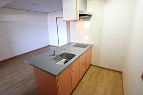 奈良県橿原市内膳町3丁目-10-19（賃貸マンション1LDK・4階・45.00㎡） その26