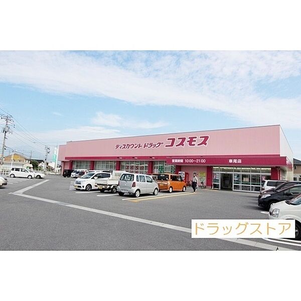 画像27:コスモス車尾店