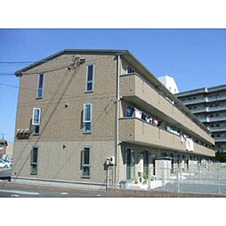 ヴィータフェリーチェ