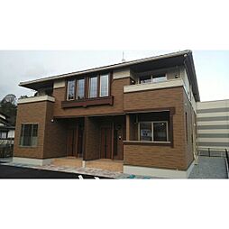ラベンダー　Ｂ