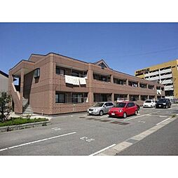 エレガントモレノ 110