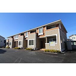 スペランツァ 201