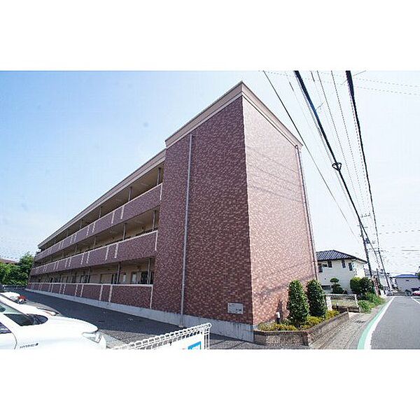 ニューグランド　オアシス