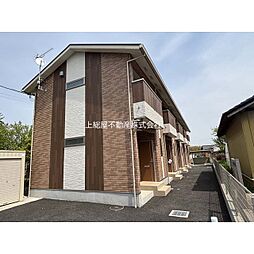Lupinus terrace
