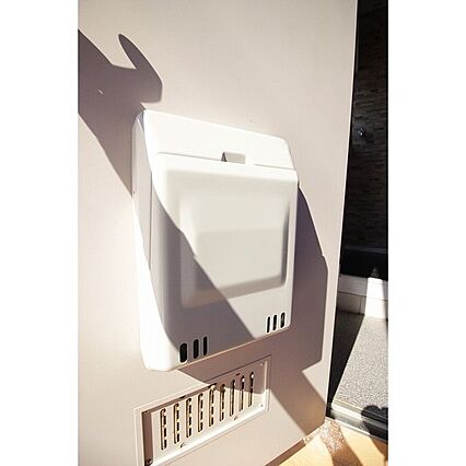 ルイ・フローラ_その他_3