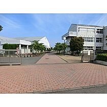 アムール 202 ｜ 茨城県守谷市松ケ丘2丁目（賃貸アパート1LDK・2階・34.15㎡） その24