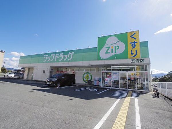 画像19:【ドラッグストア】ジップドラッグ 五條店まで1784ｍ