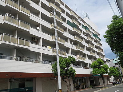 外観 外観