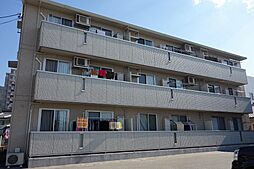 グレイスコートII 203