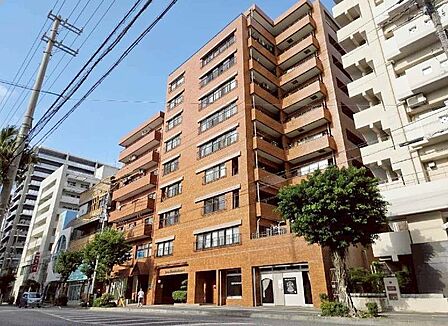 【ライオンズマンション泊】