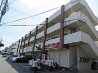 沖縄県糸満市阿波根1378番地：物件画像／有限会社近代住宅