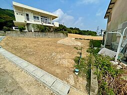 阿香花1号地