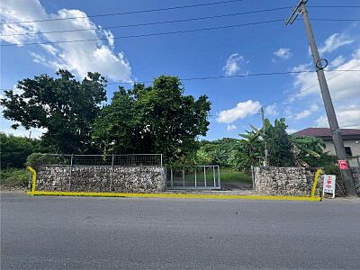 外観:観音堂通りに接道”間口16m!”現況(石積み、門扉あり、敷地内バナナ他) 外観:観音堂通りに接道”間口16m!”現況(石積み、門扉あり、敷地内バナナ他)